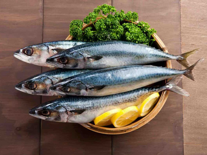 بهترین ماهی برای دیسک کمر